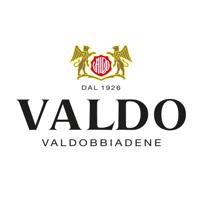 logo_valdo